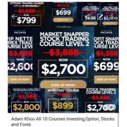 Piranhaprofits : All 10 Courses Investing, Option, Stocks & REIT